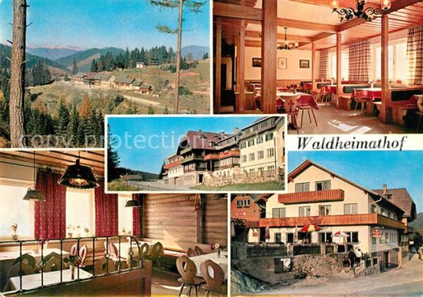 Alpl Alpengasthof Bruggraber Waldheimathof R