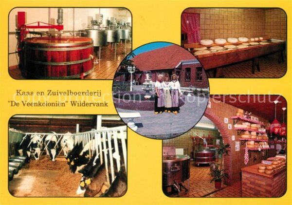 Wildervank Kaas en Zuiverlboerderij Fam. van Busse