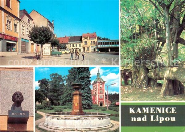 Kamenice nad Lipou Brunnen Bäume Denkmal