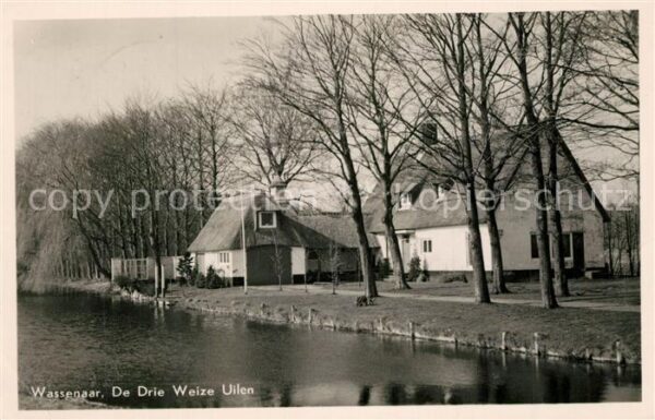 Wassenaar De Drie Weize Uilen