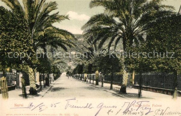 Nervi Viale delle Palme