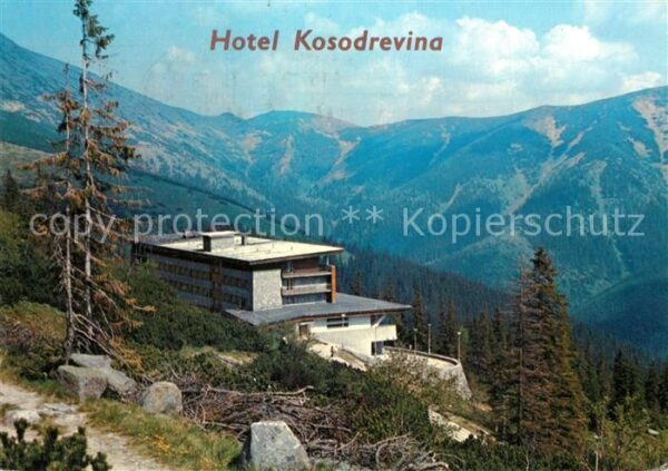 Nizke Tatry Horsky Hotel Kosodrevina