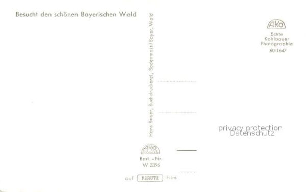 Bodenmais Arberschutzhaus Arber Panorama Gr Arber – Bild 2