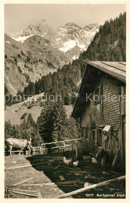 Einoedsbach Buchrainer Alpe mit Mädelegabelgruppe