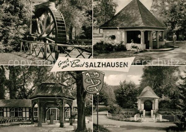 Bad Salzhausen Wasserrad Lithiumquelle Stahlquelle Sal