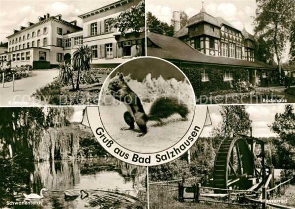 Bad Salzhausen Kurhaus Badehaus Wasserrad Schwanenteic