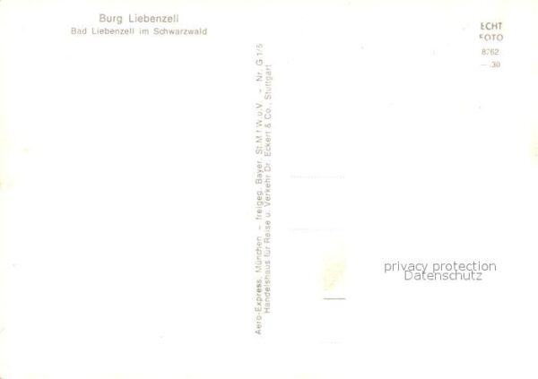 Bad Liebenzell Burg Liebenzell Fliegeraufnahme – Bild 2