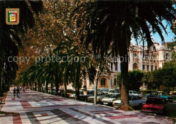 Malaga Andalucia Palmenallee