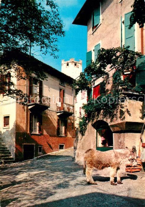 Malcesine Lago di Garda Altstadtgasse