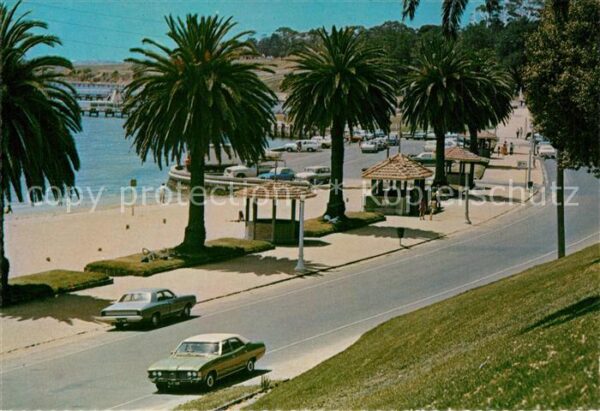Geelong Palmen Ritchie Boulevard
