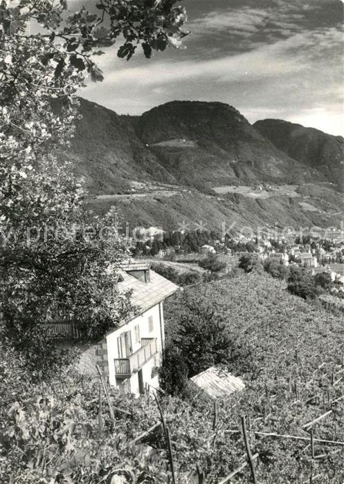 Meran Merano Panorama