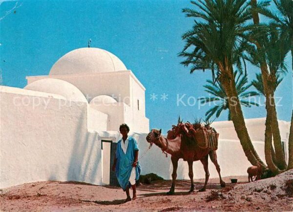 Jerba Kamel Händler
