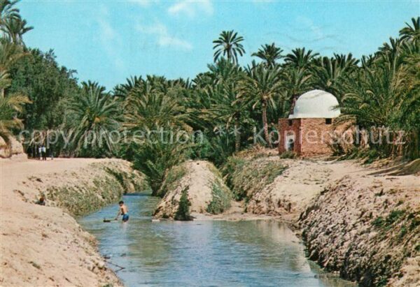 Tozeur Fluss Marabutsgrab Oase