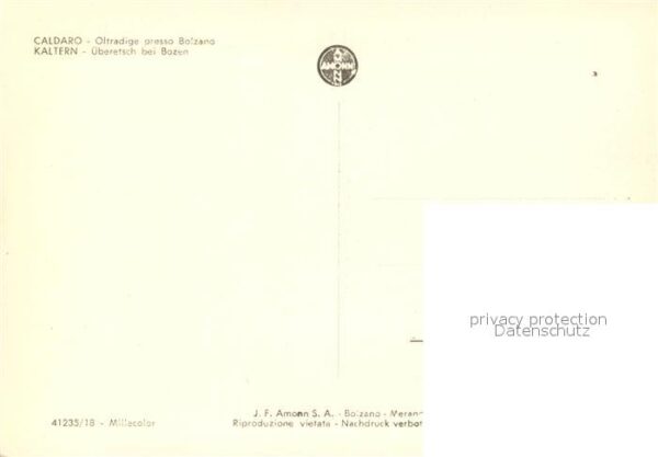 Caldaro Kaltern Panorama – Bild 2