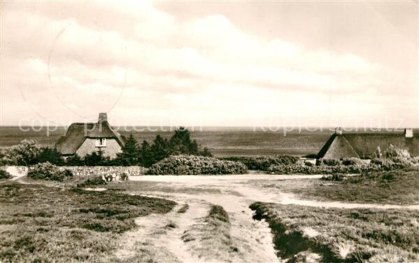Insel Sylt Am Watt Friesenhäuser