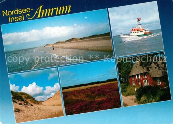 Amrum Strand Motorboot Dünen Heidelandschaft