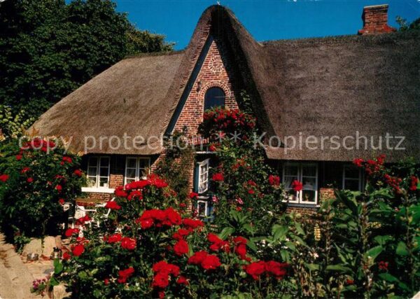 Insel Sylt Friesenhaus