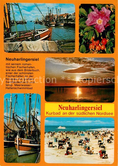 Neuharlingersiel Fischkutter Hafen Blumen Abendstimmung