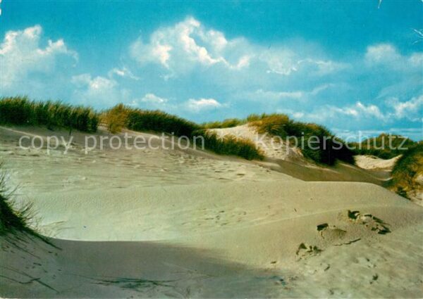 Insel Sylt Dünenlandschaft