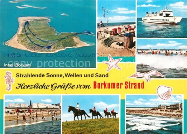 Borkum Strand Reiten Fähre Nordseeinsel Fliege
