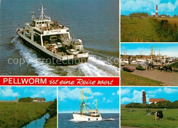 Pellworm Fähre Weiden Leuchtturm Hafen Landschaf