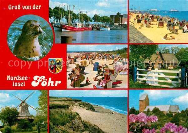Insel Foehr Seehund Hafen Fischkutter Strand Friese