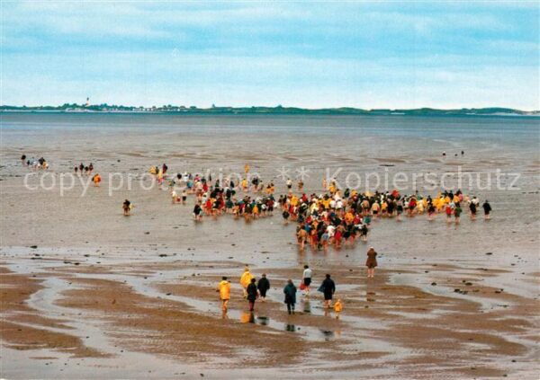 Utersum Wattwanderung nach Norddorf auf Amrum i