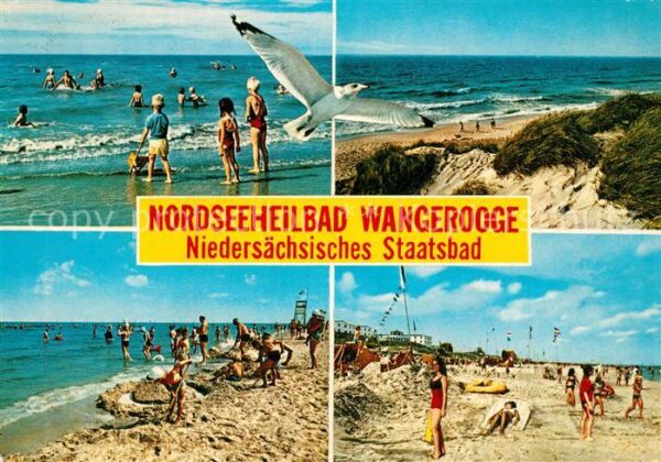 Wangerooge Nordseebad Strand Dünen Möwe