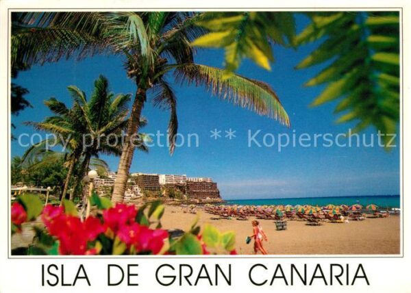 San Agustin Gran Canaria Strand Playa rodeade de palmeras Tropic