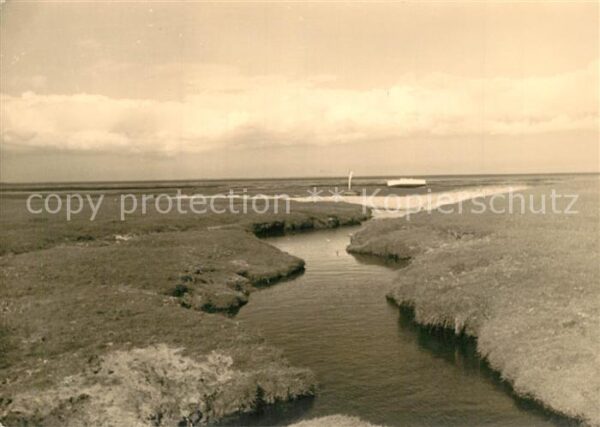 Insel Sylt Landschaftspanorama