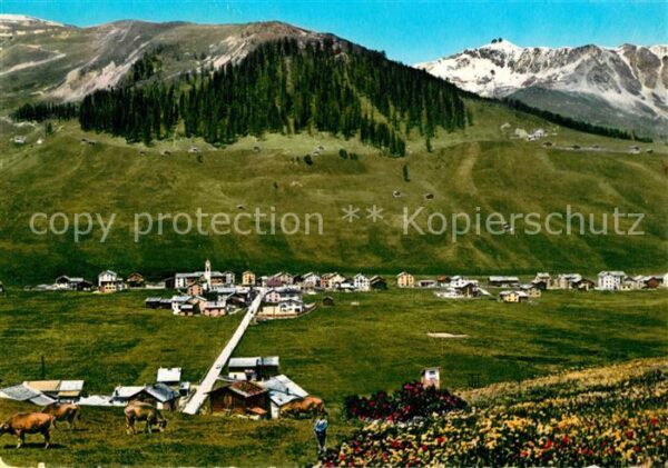 Livigno Panorama
