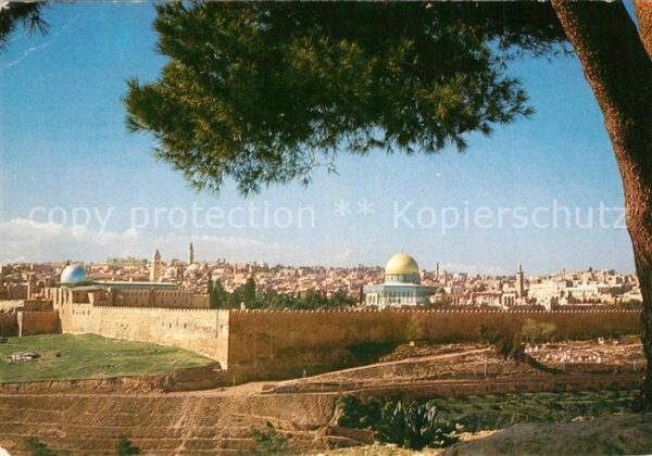 Jerusalem Yerushalayim Temple Area Eastern Wall seen from Moun