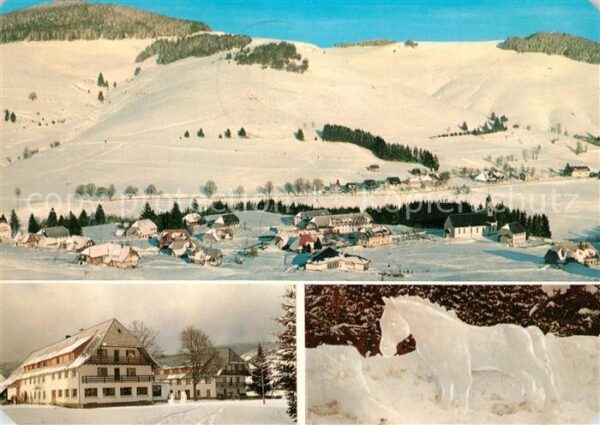 Bernau Schwarzwald Winterpanorama Gasthof Pension Rössle P