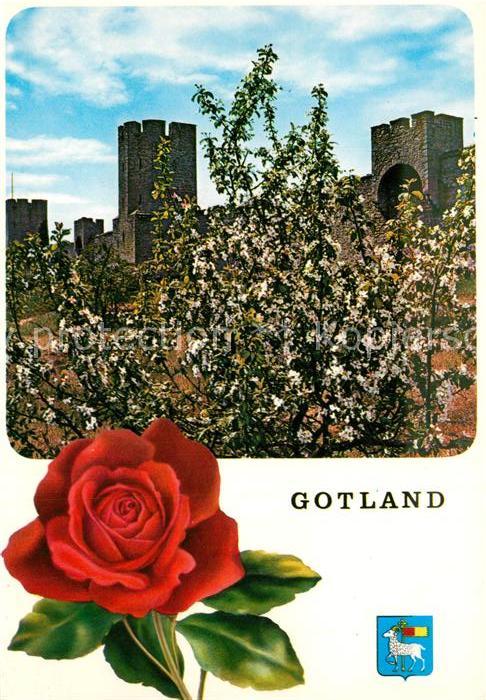 Visby Östra muren Stadtmauer Rose