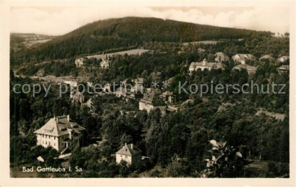 Gottleuba-Berggiesshuebel Bad Panorama