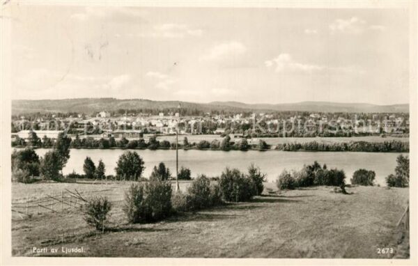 Ljusdal Panorama