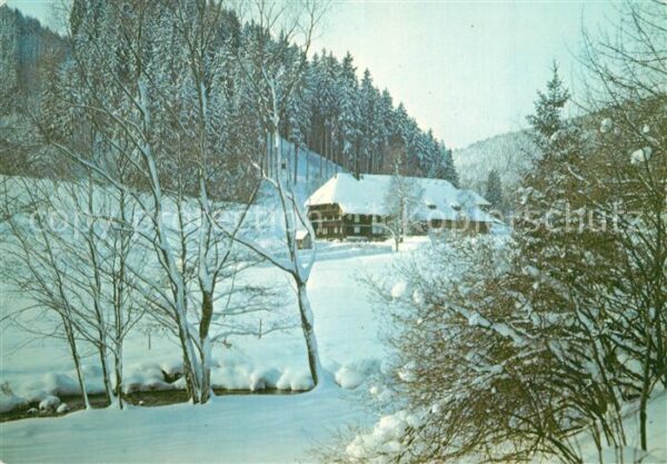 Bonndorf Schwarzwald Gasthaus Pension Sommerau Winteraufnahm
