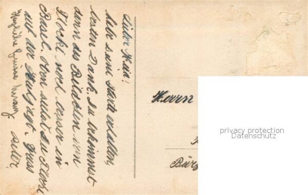 Hunde Kuh Privatfoto-Ak – Bild 2