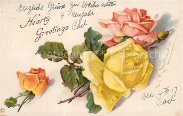 Klein Catharina Kuenstlerlitho Rosen Litho