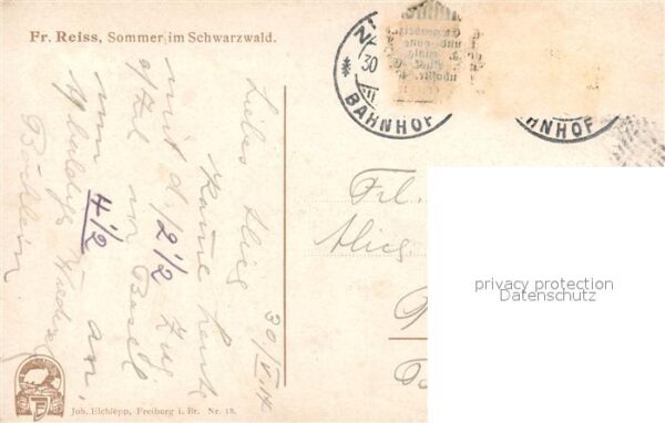 Reiss Fritz Sommer im Schwarzwald – Bild 2