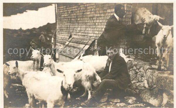 Foto Gaberell J. Nr. 2222 Idyll auf der Alp Ziegen