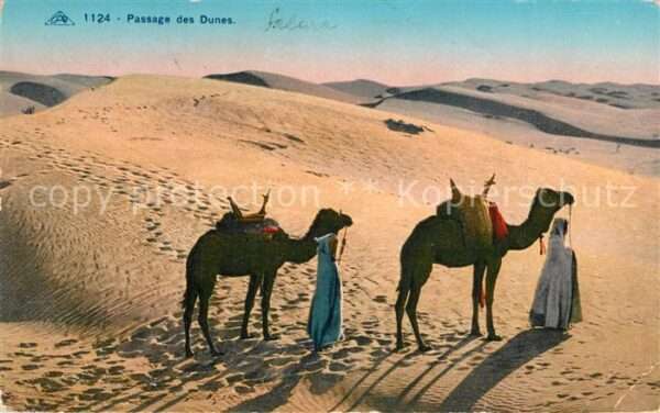 Kamel  Camel Chameau Passage des Dunes