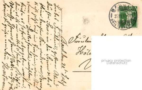 Rosen – Bild 2