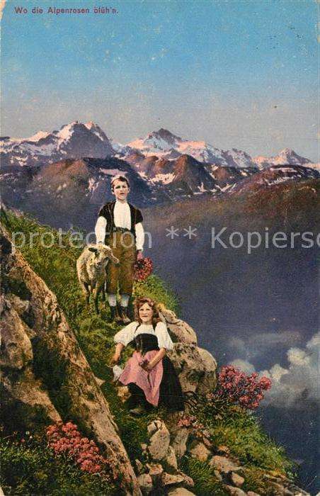 Schafe Kinder Trachten Alpenrosen