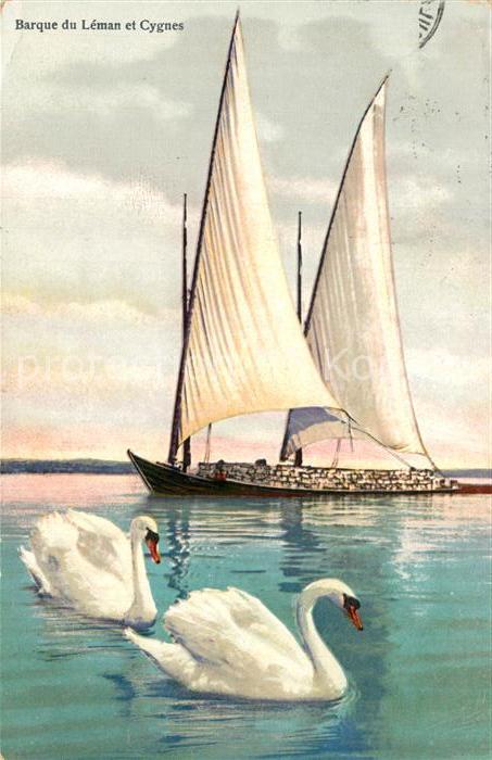 Segelboote Barque du Leman Cygnes