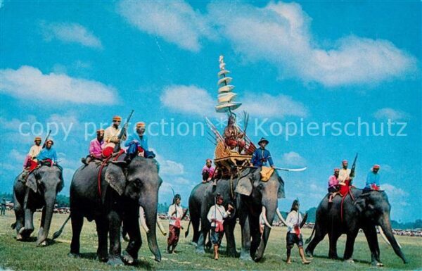 Elefant Ancient Battle Elephants Surin Thailand