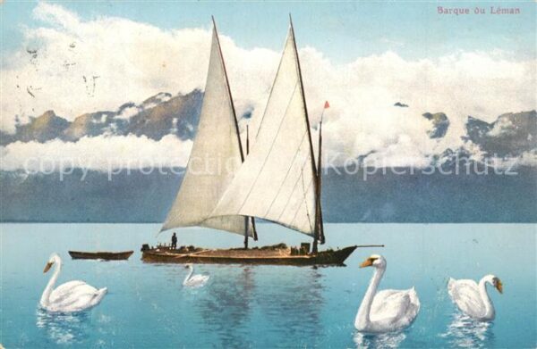 Segelboote Barque du Leman Schwäne