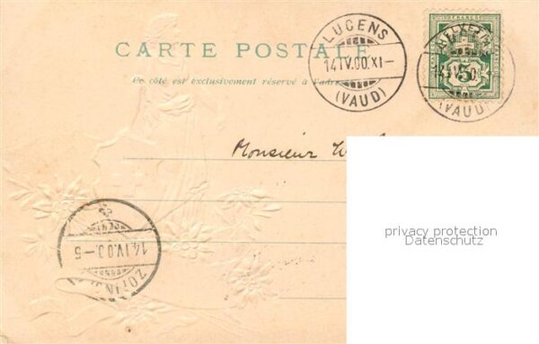 Helvetia Schweiz Wappen Edelweiss – Bild 2