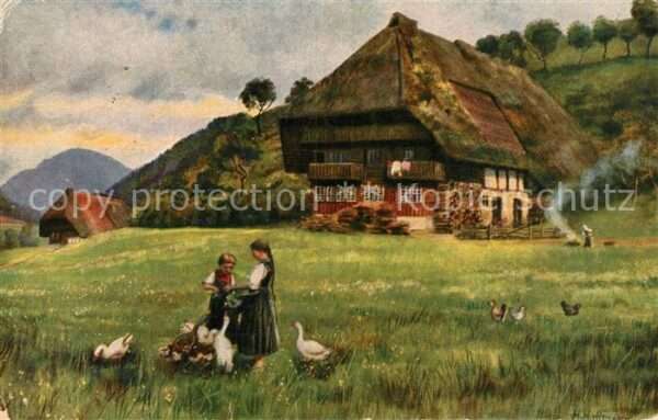Hoffmann Heinrich Auf sonniher Höhe Schwarzwaldhaus