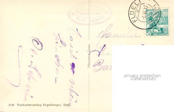 Schafe Flüeli – Bild 2